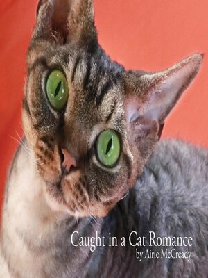 cover image of Caught in a Cat Romance
